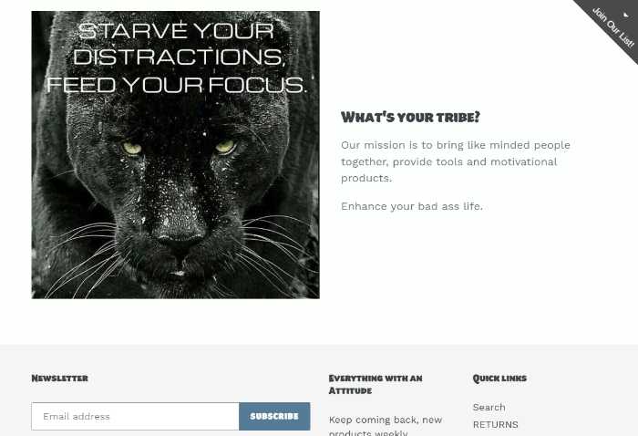 Standout Tribes company mission and email newsletter sign-up form