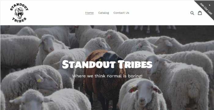 Standout Tribes' customized store page on Shopify